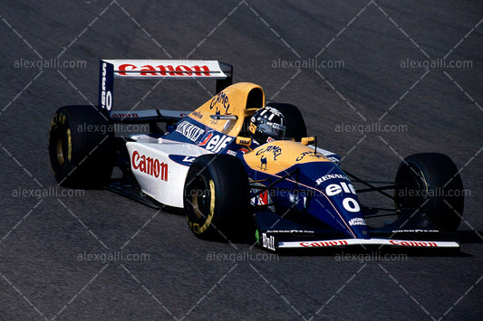 F1 1993 Damon Hill - Williams FW15C - 19930015