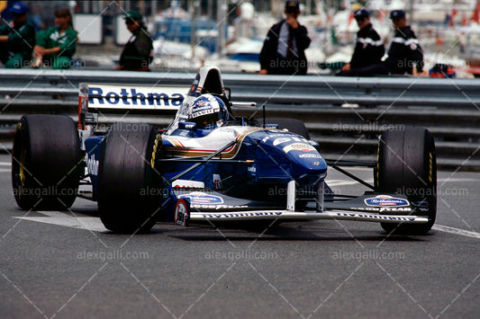 F1 1995 David Coulthard - Williams FW17 - 19950023