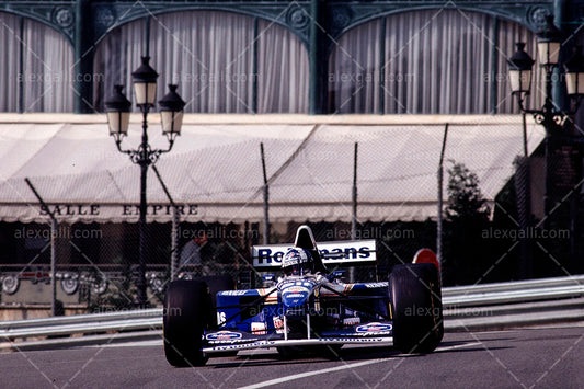 F1 1995 David Coulthard - Williams FW17 - 19950024