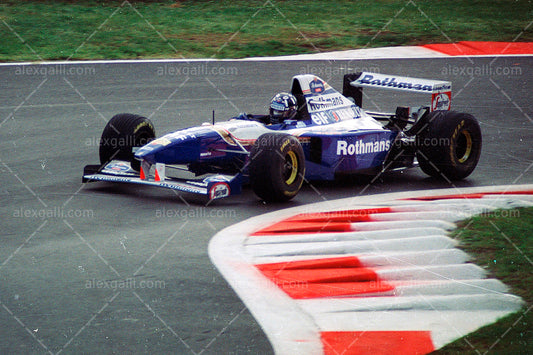 F1 1995 Damon Hill - Williams FW17 - 19950051