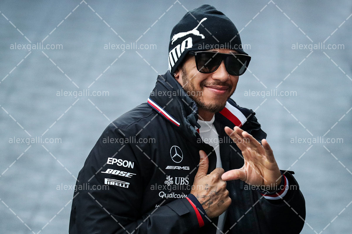 F1 2019 Lewis Hamilton - Mercedes W10 - 20190023