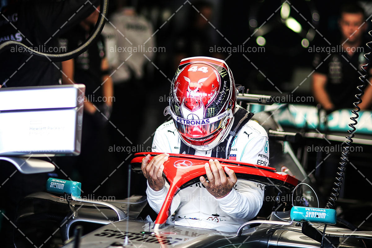 F1 2019 Lewis Hamilton - Mercedes W10 - 20190026