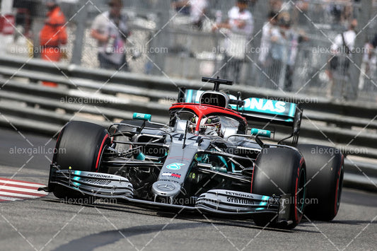 F1 2019 Lewis Hamilton - Mercedes W10 - 20190028