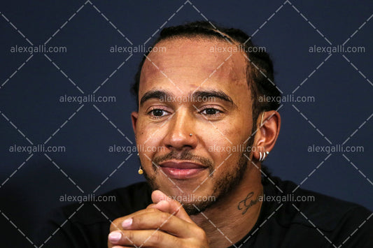 F1 2019 Lewis Hamilton - Mercedes W10 - 20190029