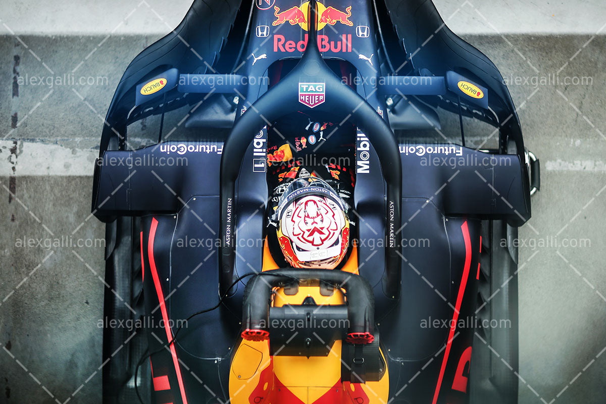 F1 2019 Max Verstappen - Red Bull RB15 - 20190103
