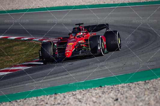 F1 2022 Charles Leclerc - Ferrari F1-75 - 20220032