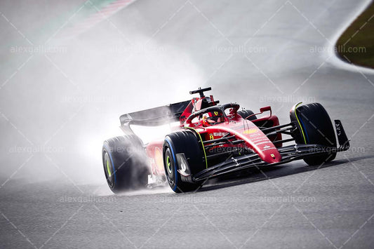 F1 2022 Carlos Sainz - Ferrari F1-75 - 20220078