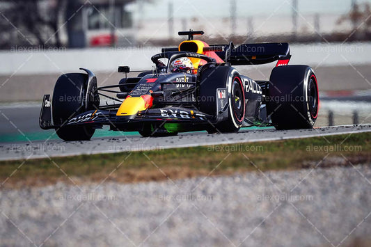 F1 2022 Max Verstappen - Red Bull RB18 - 20220089