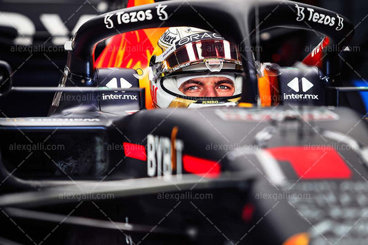 F1 2022 Max Verstappen - Red Bull RB18 - 20220152