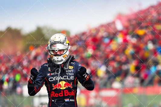 F1 2022 Max Verstappen - Red Bull RB18 - 20220153