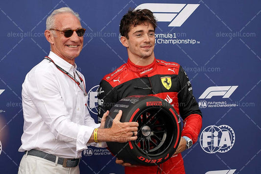 F1 2022 Charles Leclerc - Ferrari F1-75 - 20220178
