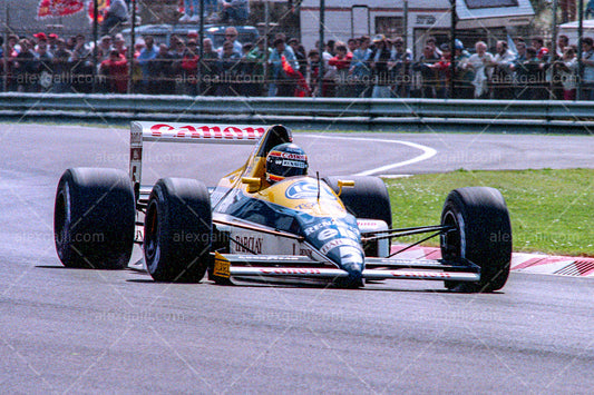 F1 1989 Thierry Boutsen - Williams FW13 - 19890017