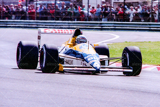 F1 1989 Riccardo Patrese - Williams FW13 - 19890064