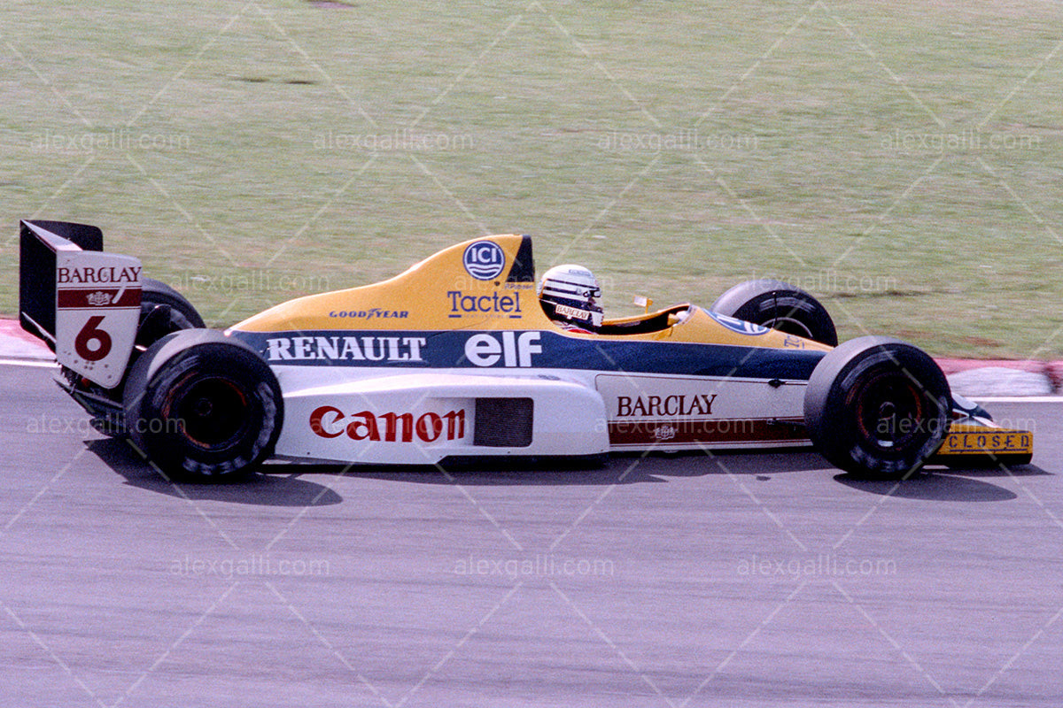F1 1989 Riccardo Patrese - Williams FW13 - 19890065