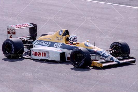 F1 1989 Riccardo Patrese - Williams FW13 - 19890066
