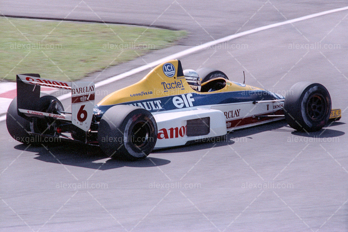 F1 1989 Riccardo Patrese - Williams FW13 - 19890067