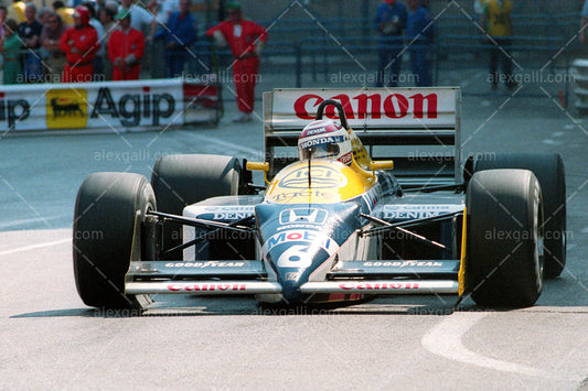 F1 1987 Nelson Piquet - Williams FW11B - 19870089