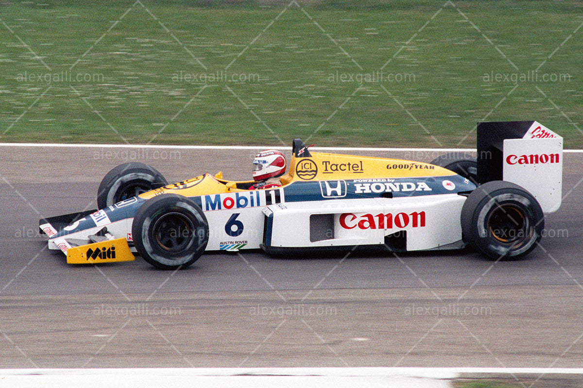 F1 1986 Nelson Piquet - Williams FW11 - 19860089