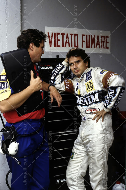 F1 1987 Nelson Piquet - Williams FW11B - 19870096