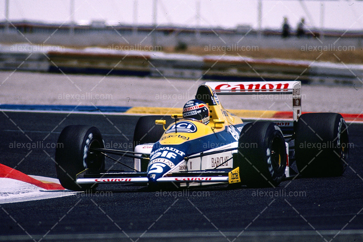 F1 1989 Thierry Boutsen - Williams FW13 - 19890014