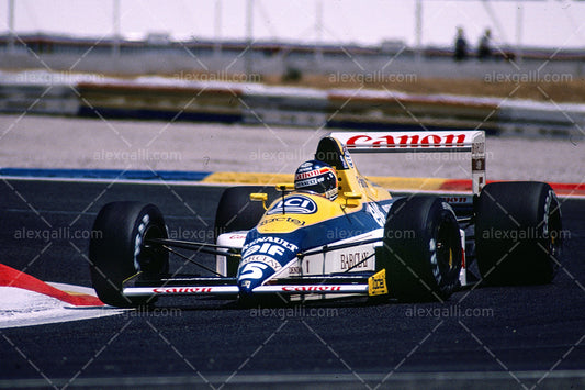 F1 1989 Thierry Boutsen - Williams FW13 - 19890014