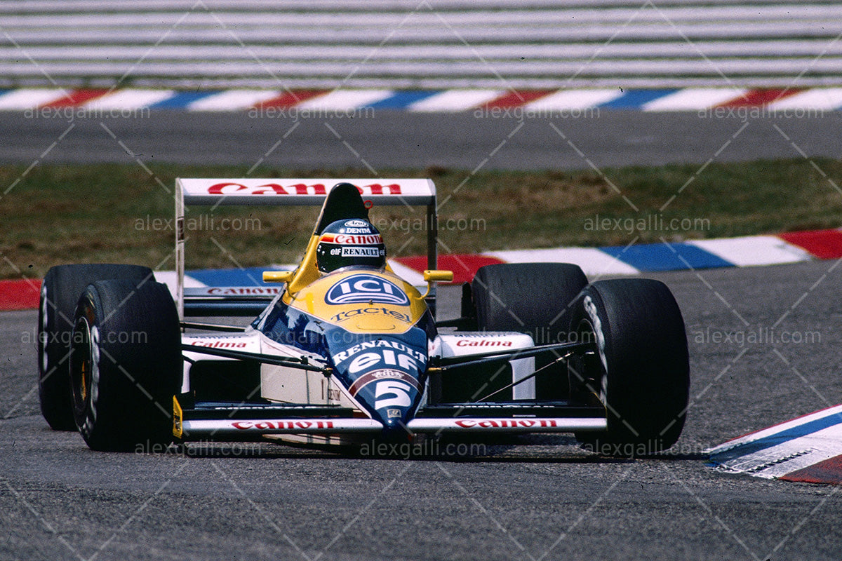F1 1989 Thierry Boutsen - Williams FW13 - 19890015