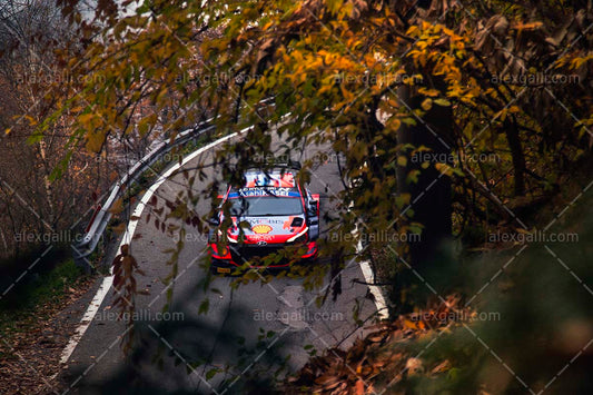 WRC 2021 Neuville-Wydaeghe - Hyundai - WRC210049