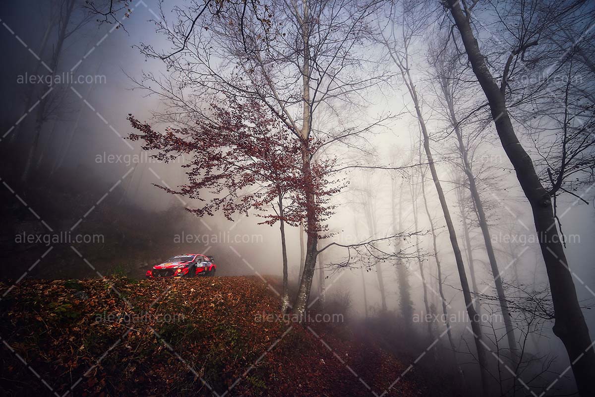 WRC 2021 Neuville-Wydaeghe - Hyundai - WRC210051