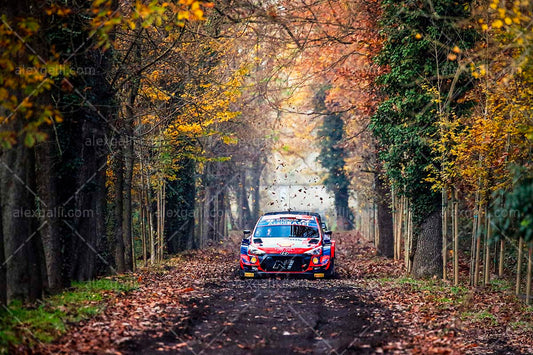 WRC 2021 Neuville-Wydaeghe - Hyundai - WRC210052