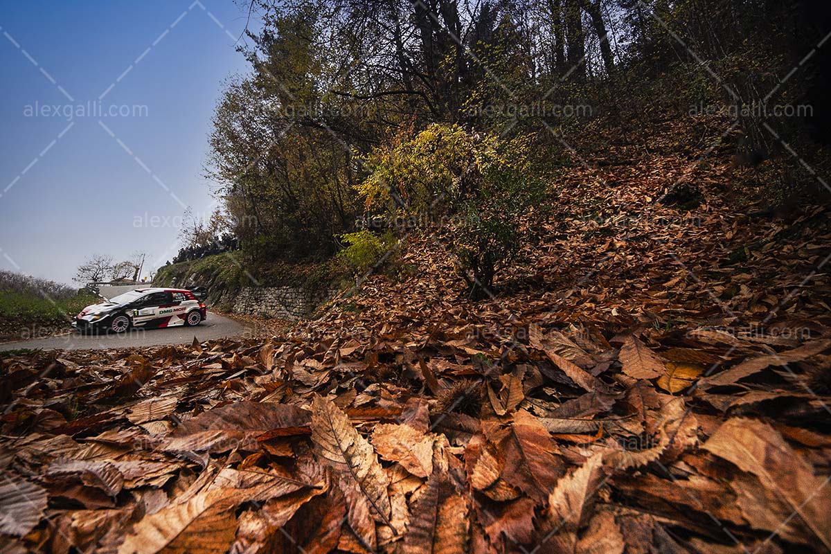 WRC 2021 Ogier-Ingrassia - Toyota - WRC210054