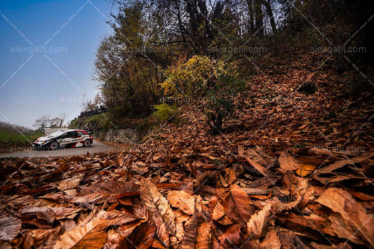 WRC 2021 Ogier-Ingrassia - Toyota - WRC210054