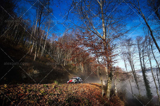 WRC 2021 Ogier-Ingrassia - Toyota - WRC210055