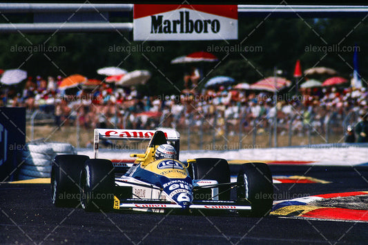 F1 1989 Riccardo Patrese - Williams FW13 - 19890069