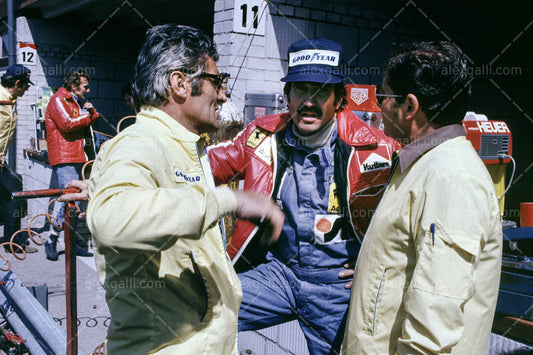 F1 1974 Clay Regazzoni - Ferrari 312B3 - 19740023