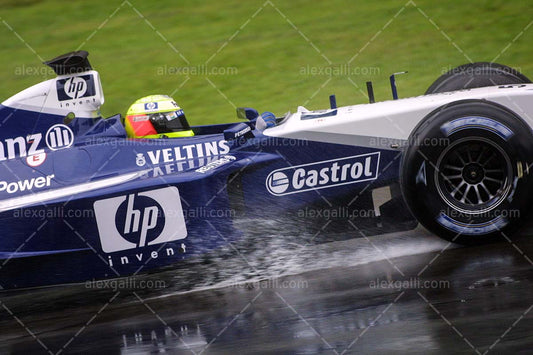 F1 2002 Ralf Schumacher - Williams FW24 - 20020089