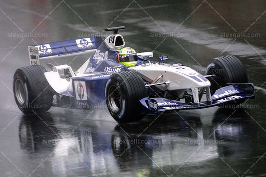 F1 2002 Ralf Schumacher - Williams FW24 - 20020090