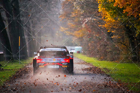 WRC 2021 Sordo-Barrio - Hyundai - WRC210063